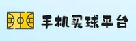 手机买世界杯官方网站|赛事直击|9H2P